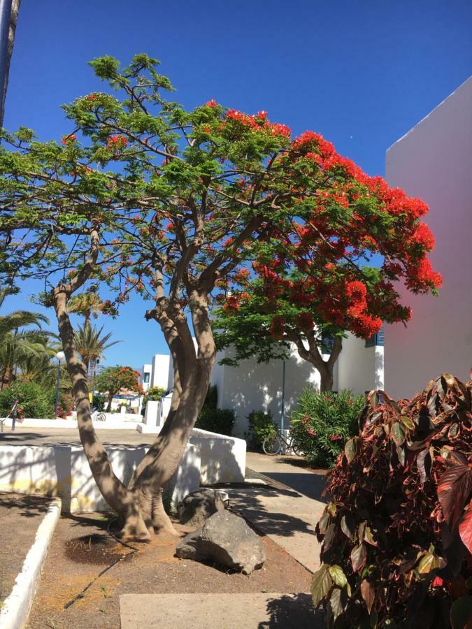 Los Barqueros Corralejo "Beach Front - Town Centre" Leilighet Eksteriør bilde